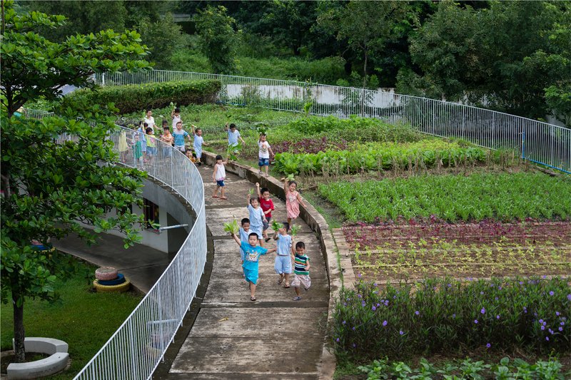 菜園を通して農業の大切さを学ぶ_(c)Quang Tran.jpg